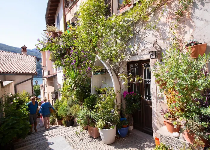 Il Giardino Di Dante Center - Happy *